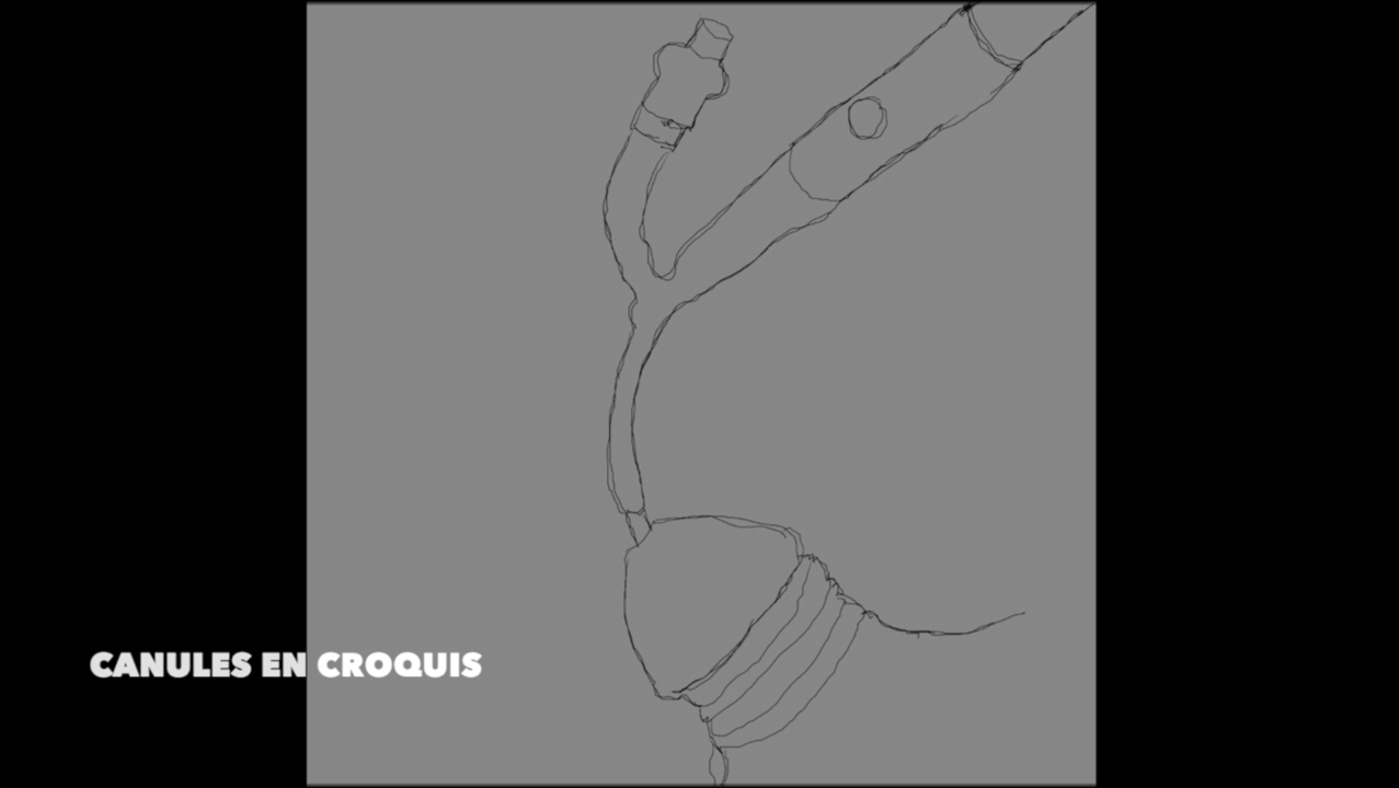 video croquis